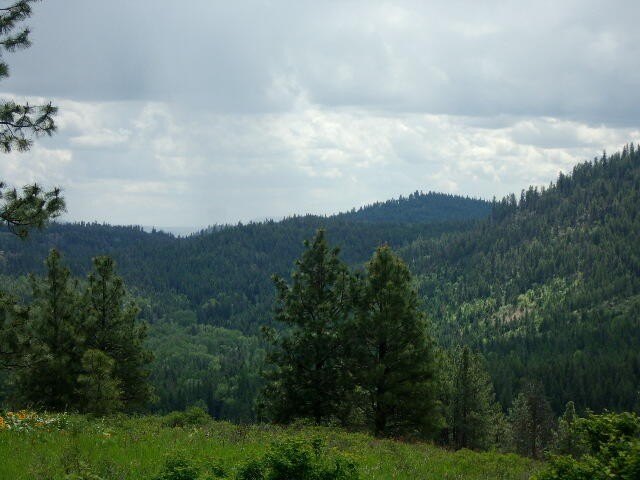 Picture 9