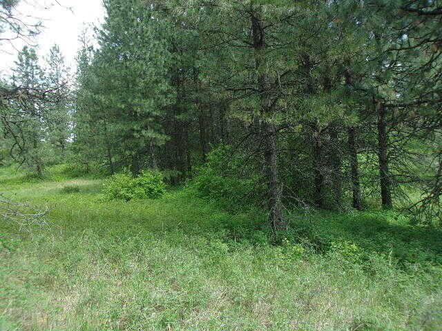 Picture 13