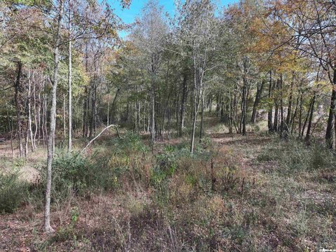Vacant Land, Glenwood, AR