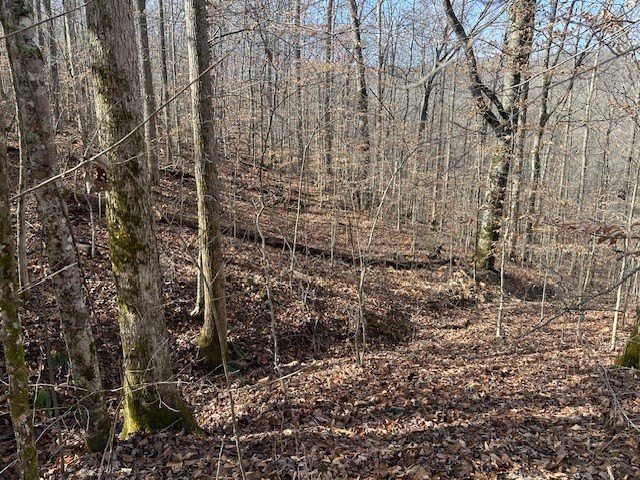 Picture 17
