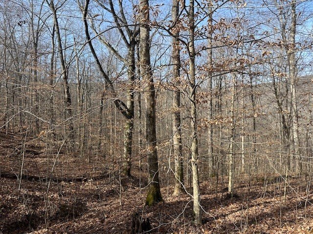 Picture 10