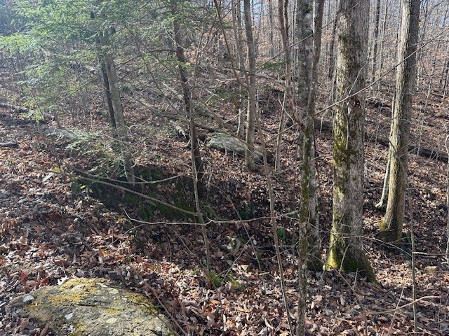 Picture 16