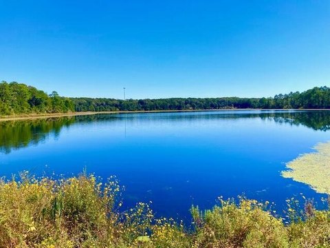 Waterfront Lot Near DeFuniak Springs