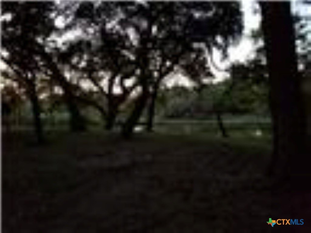 Picture 12