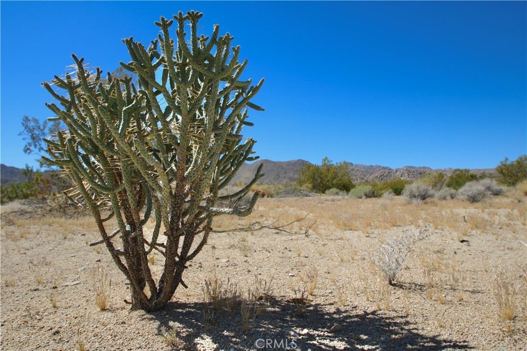 Picture 19