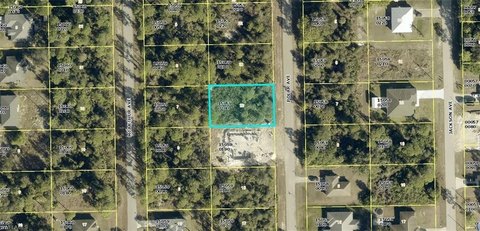 Land, ALVA, FL