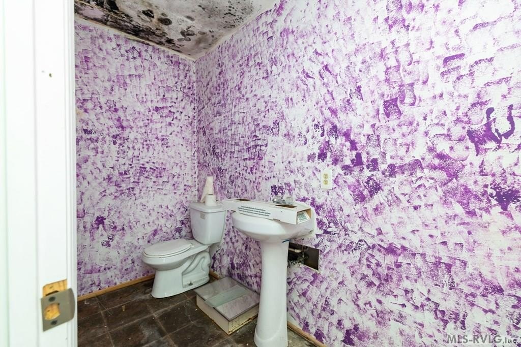 Picture 15