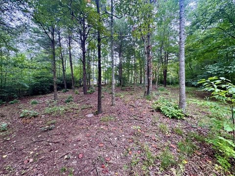 Land, Marietta, SC
