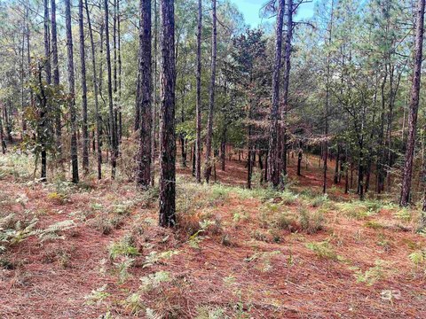 Estate Sized Residential Lots