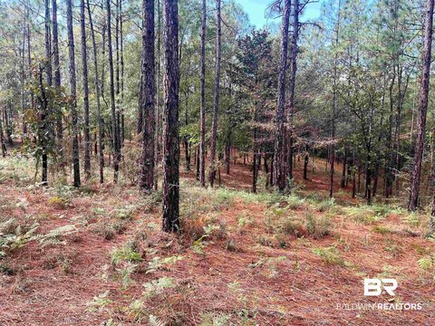 Estate Sized Residential Lots