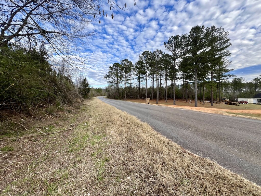 Picture 25