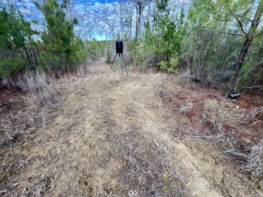Picture 20