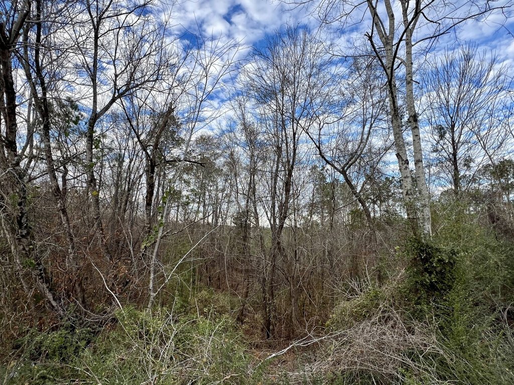 Picture 23
