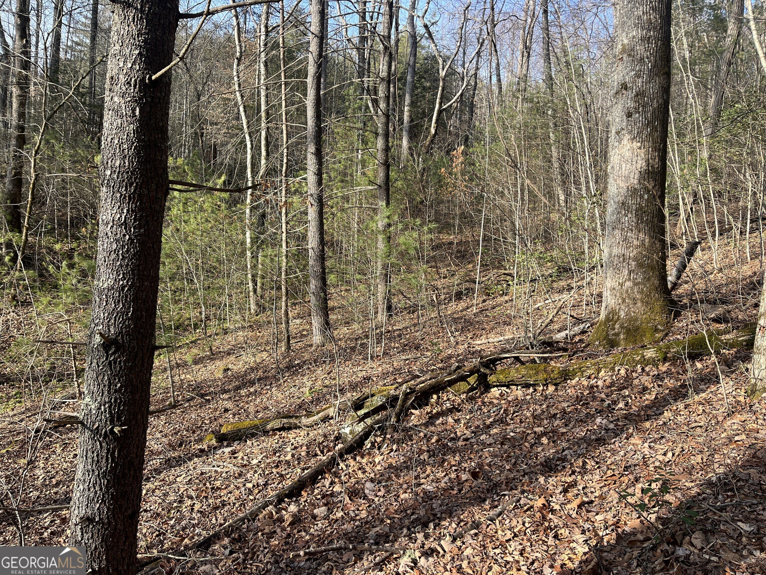 Dillard, GA Land For Sale