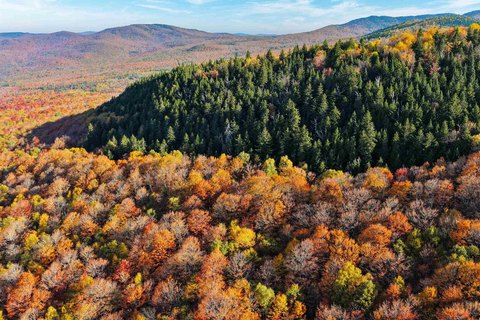 Vermont Timberland Investment Opportunity