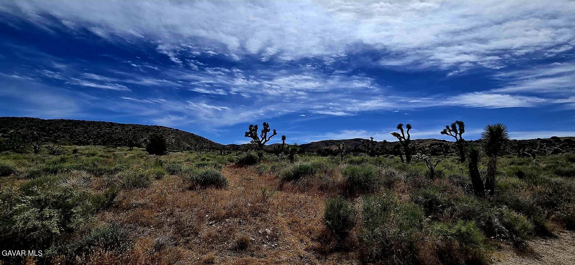 Littlerock Land with Mountain Views