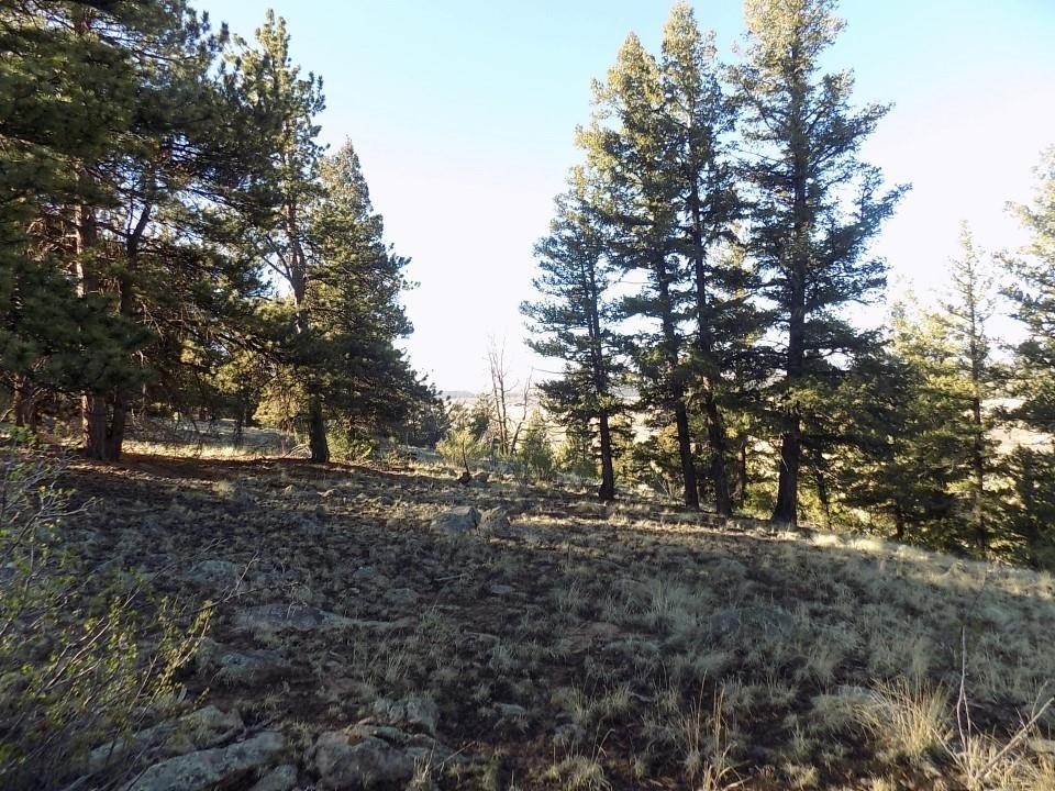 Picture 9
