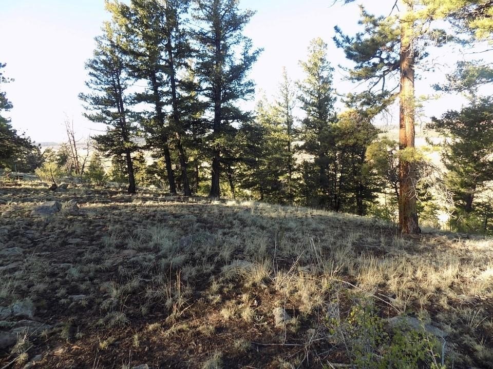 Picture 13