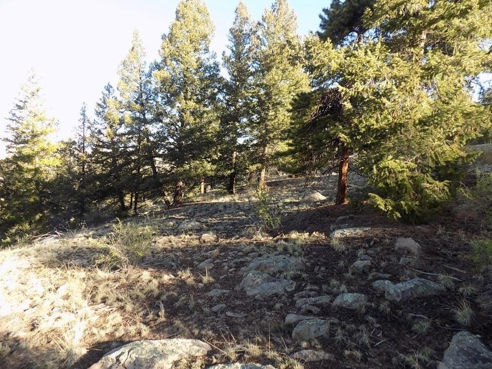 Picture 12