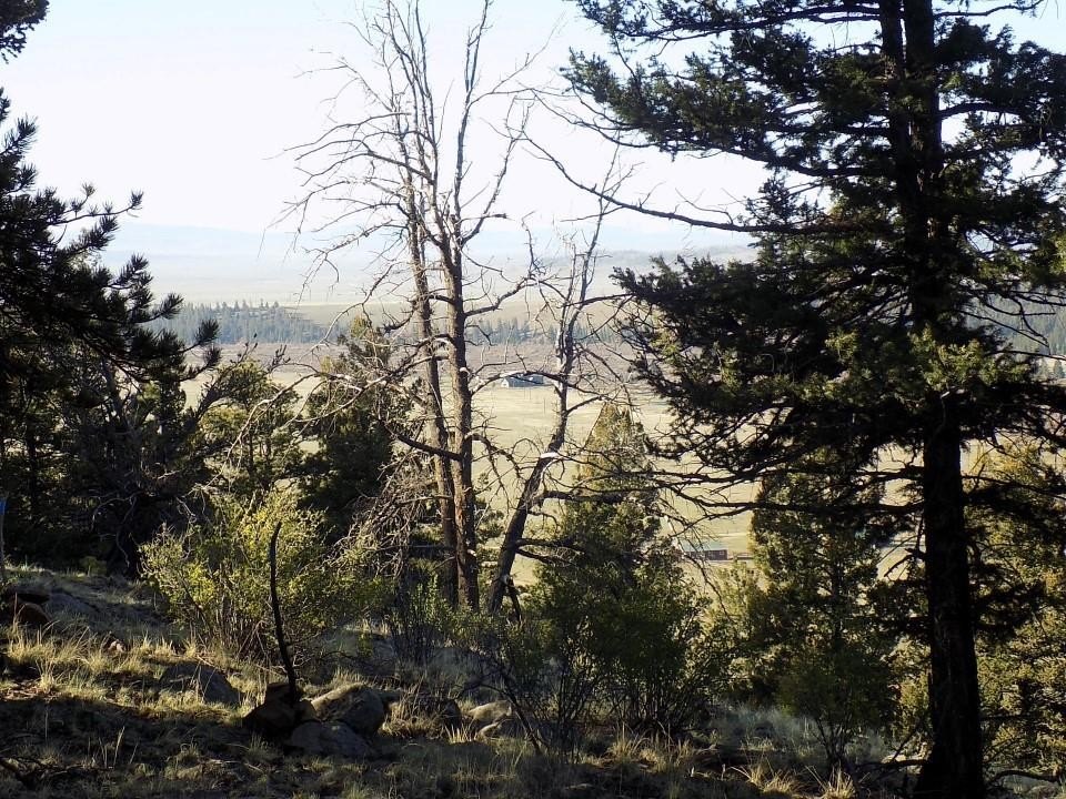 Mountain Land Parcel with Utilities