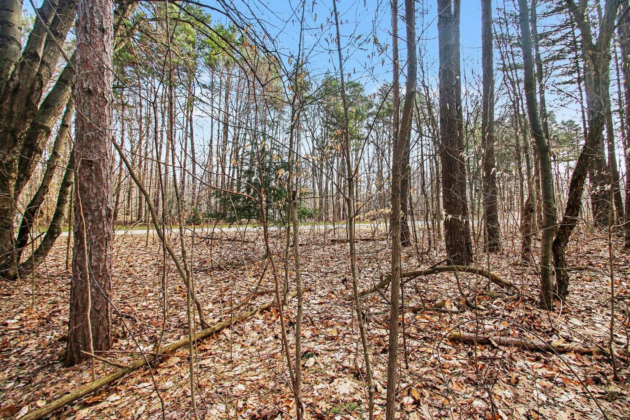 Wooded Lot in Hunters Ridge
