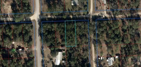 Bronson, FL Wooded Lot