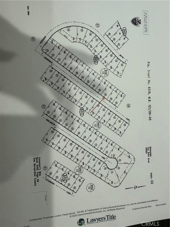 Picture 6