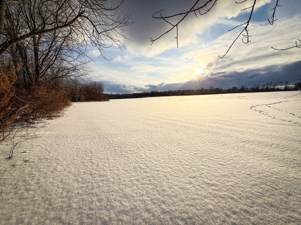 Picture 17