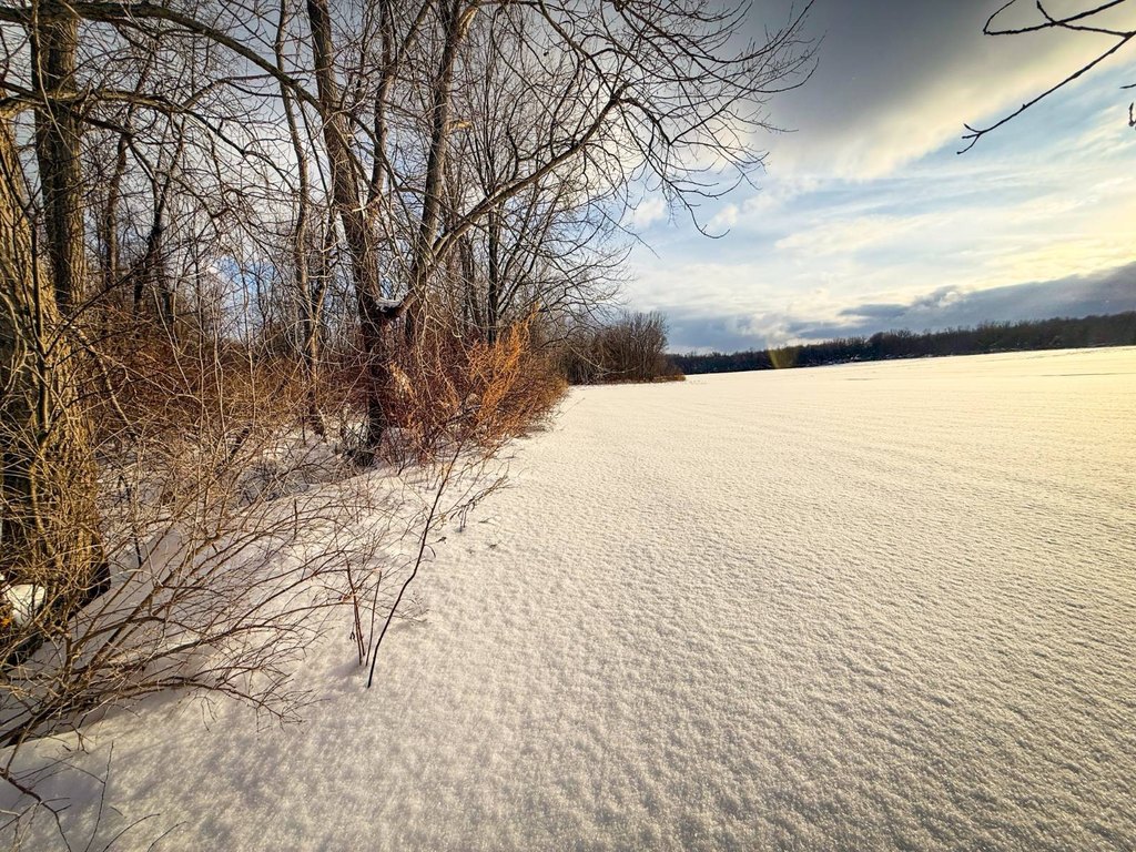 Picture 9