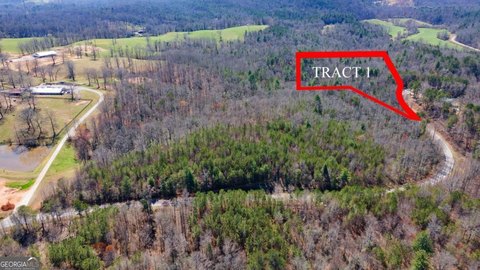 Undeveloped Land in Dawsonville, GA