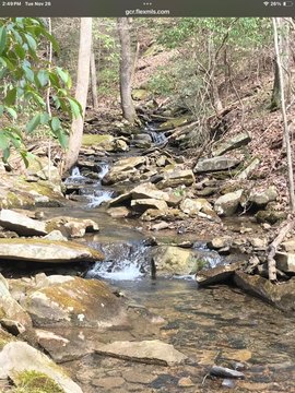 Dunlap, TN Wooded Lot