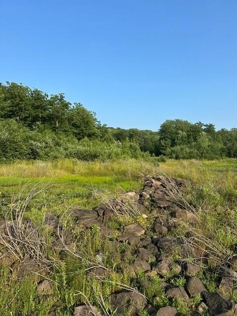 Picture 24