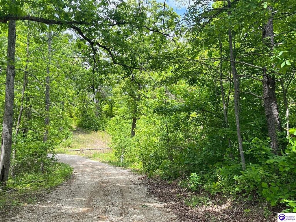 Picture 12