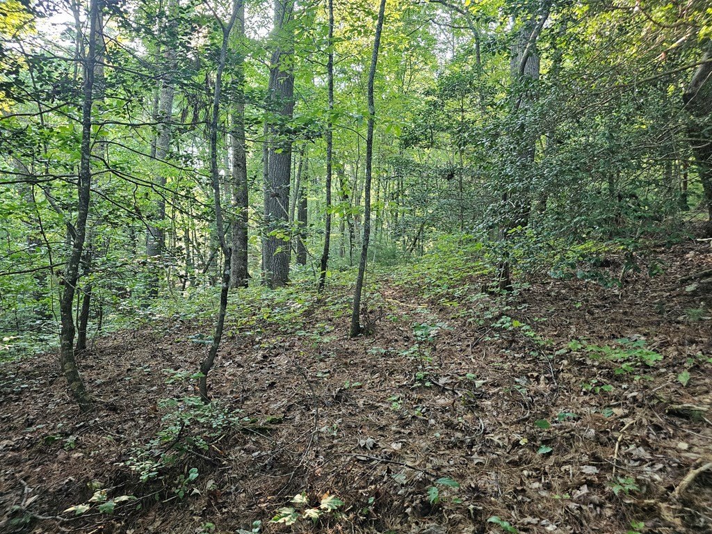 Picture 22