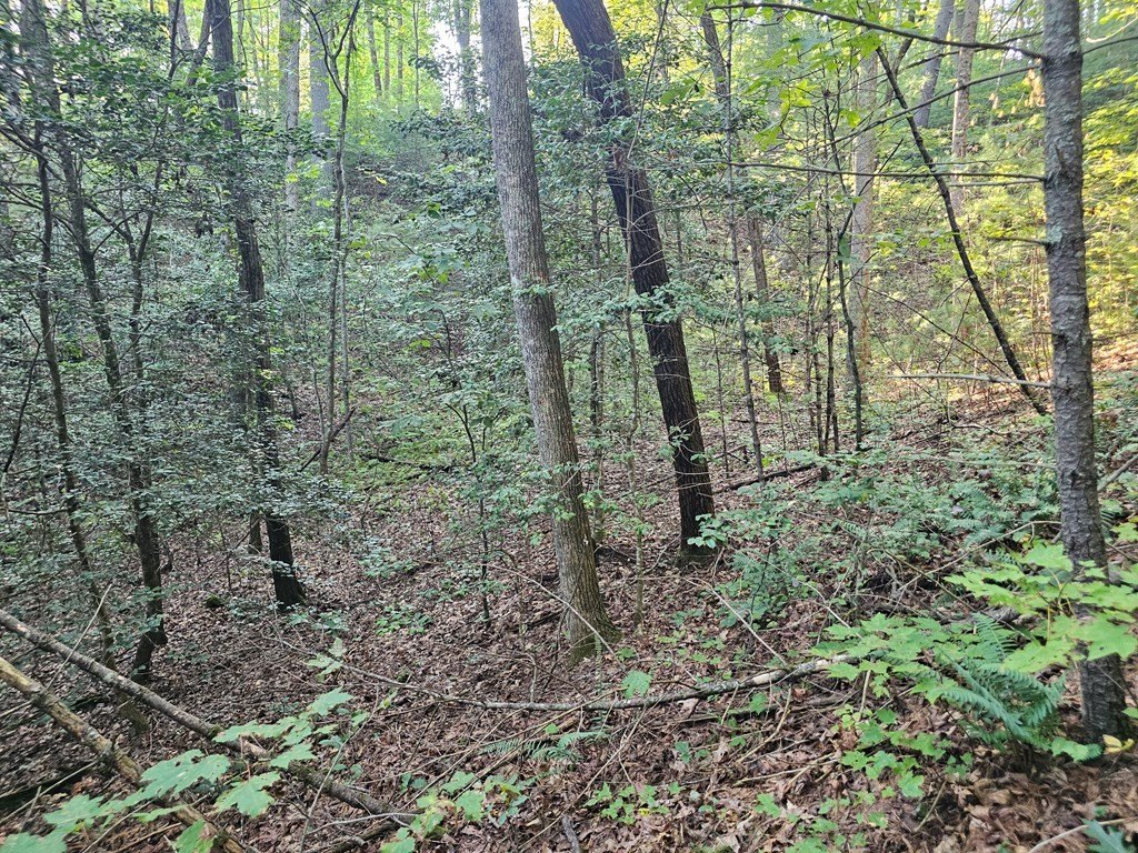 Picture 16