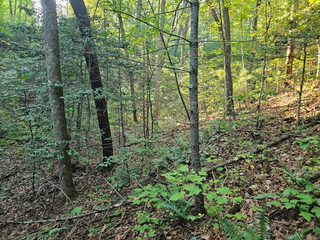 Picture 17