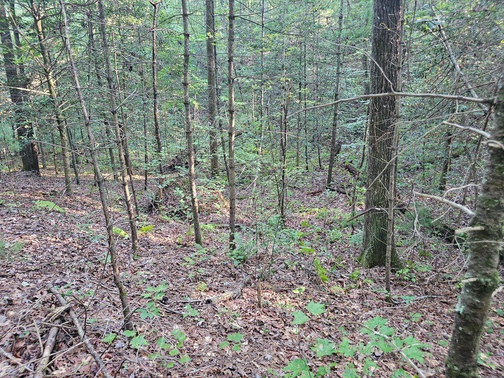 Picture 14
