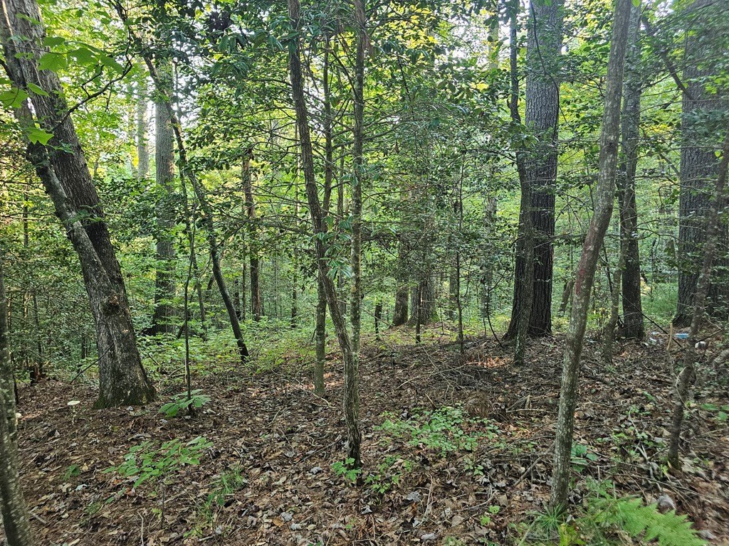 Picture 23