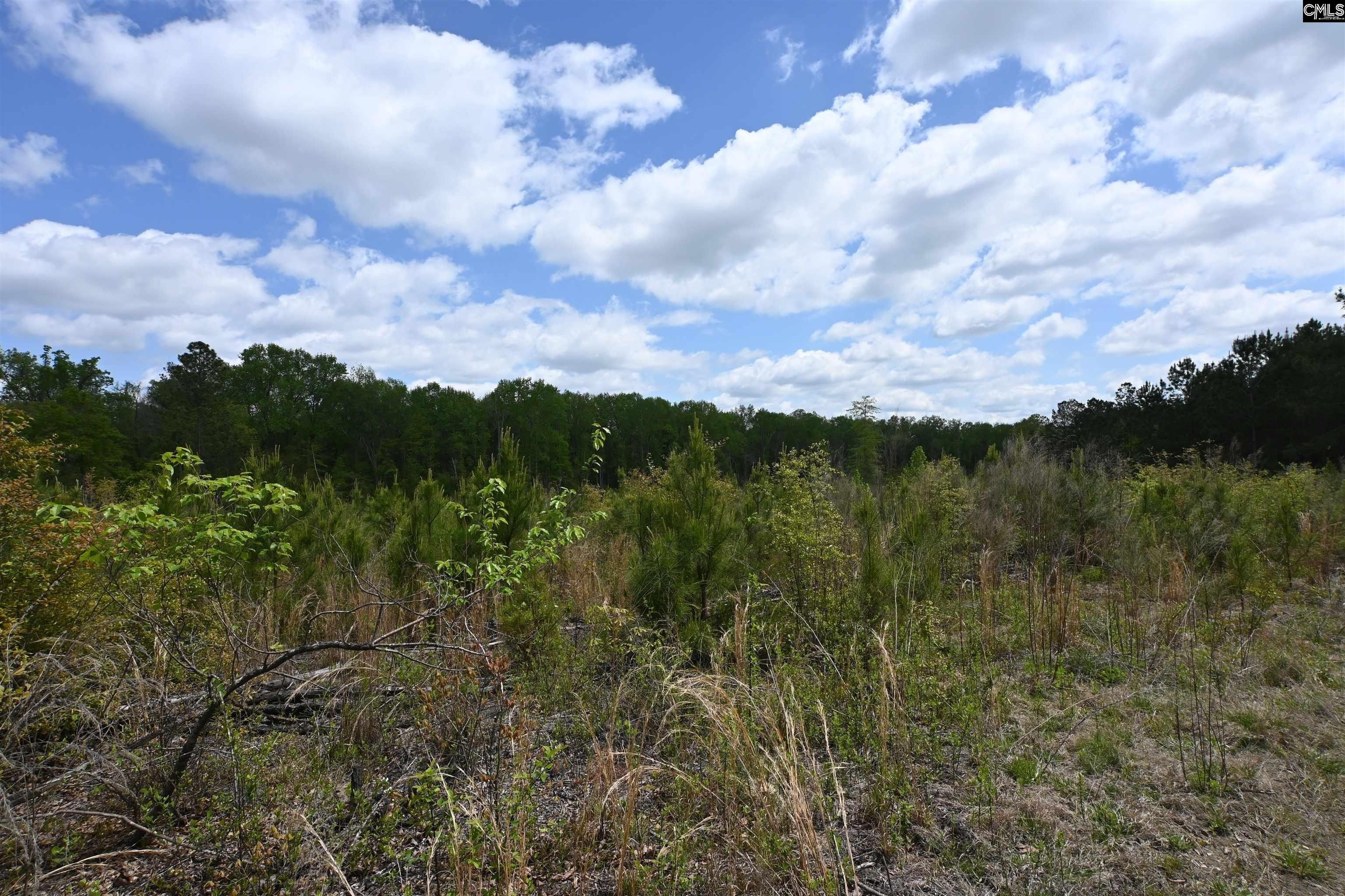 West Columbia 57.93-Acre Development Opportunity