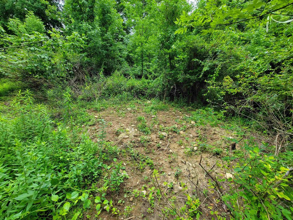 Picture 48
