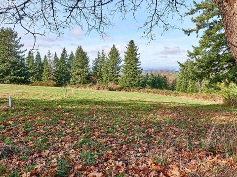Molalla Land with Development Potential