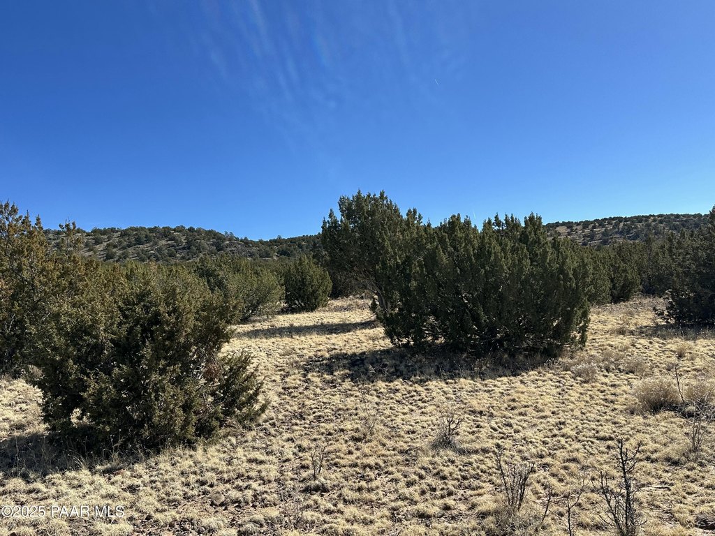 Picture 24