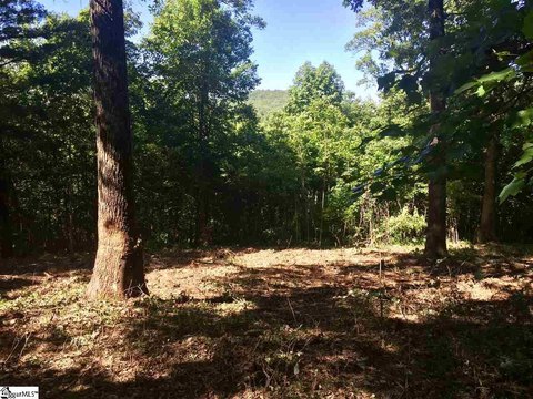 LAND - Landrum, SC