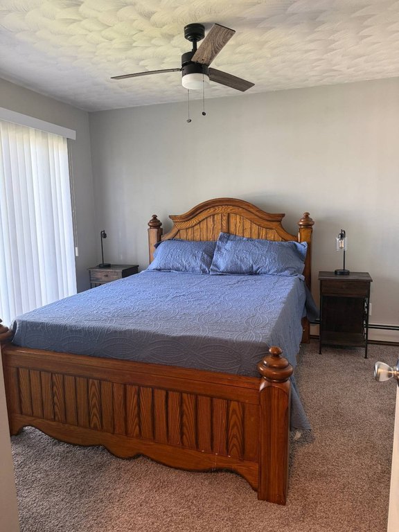 Picture 29