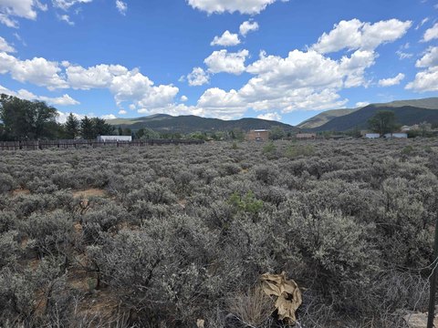 LAND - Taos, NM