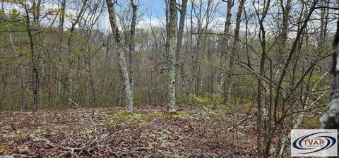 Unrestricted Land in Holladay, TN