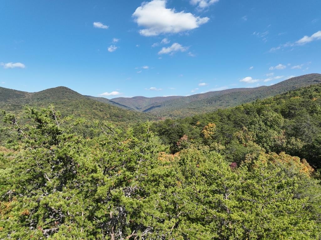 Ellijay Mountain View Lot