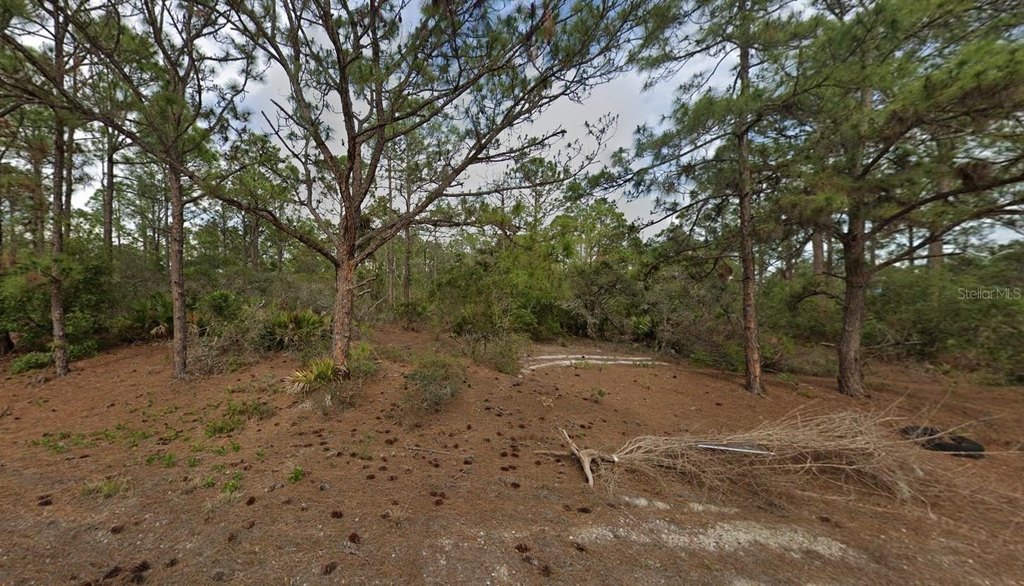 Picture 7