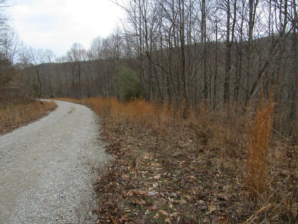 Picture 14