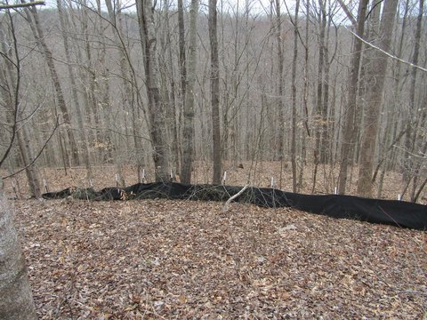 Land, Wilder, TN